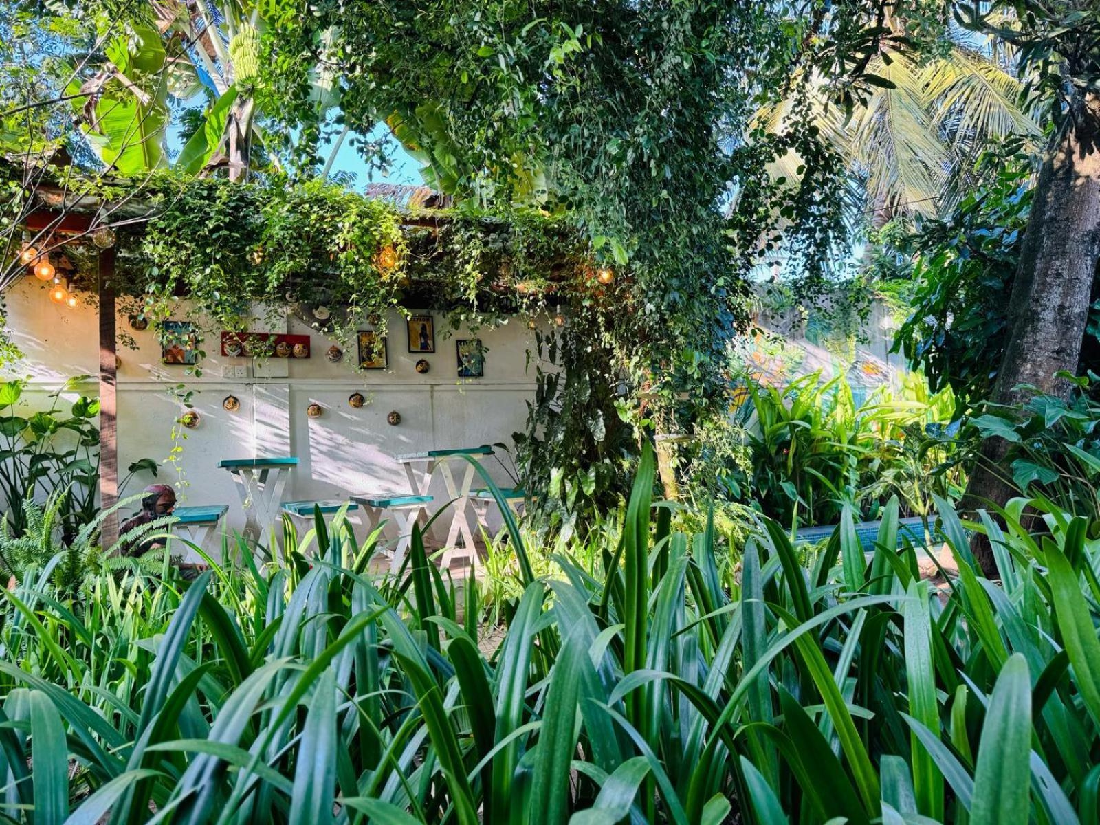 Double Mango Villa Katunayaka Extérieur photo