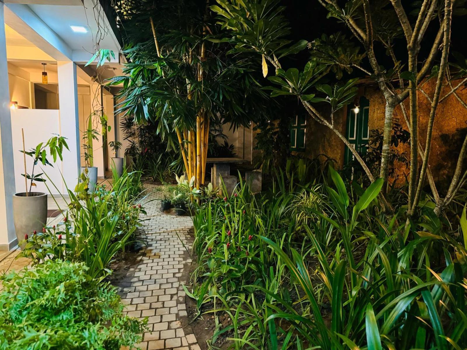 Double Mango Villa Katunayaka Extérieur photo